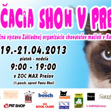 Mačacia show v Prešove