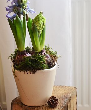Jarná kvetinová dekorácia – rýchlo a lacno - fotografia č. 6