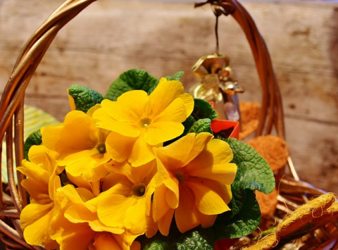 Jarná kvetinová dekorácia – rýchlo a lacno - fotografia č. 13