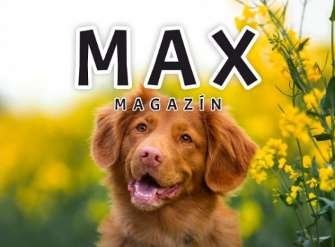 Jarné číslo MAX Magazínu od Happy Pets je už vonku